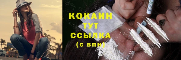 винт Рославль