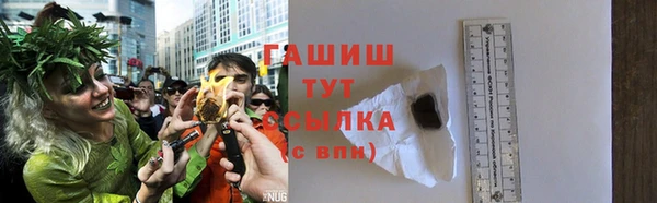 мдпв Заводоуковск