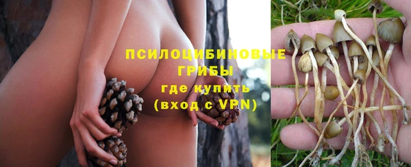 a pvp Заволжье