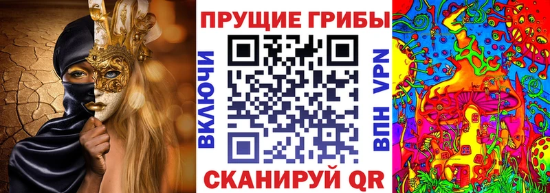 Псилоцибиновые грибы Cubensis  Купить  Ефремов 
